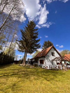 Uroczy dom nad jeziorem Śniardwy tuż obok plaży, Nowe Guty